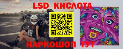 гидра Заводоуковск
