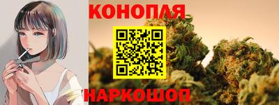 гидра Заводоуковск