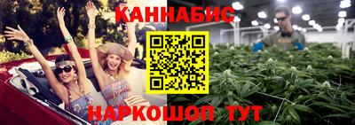 гидра Заводоуковск