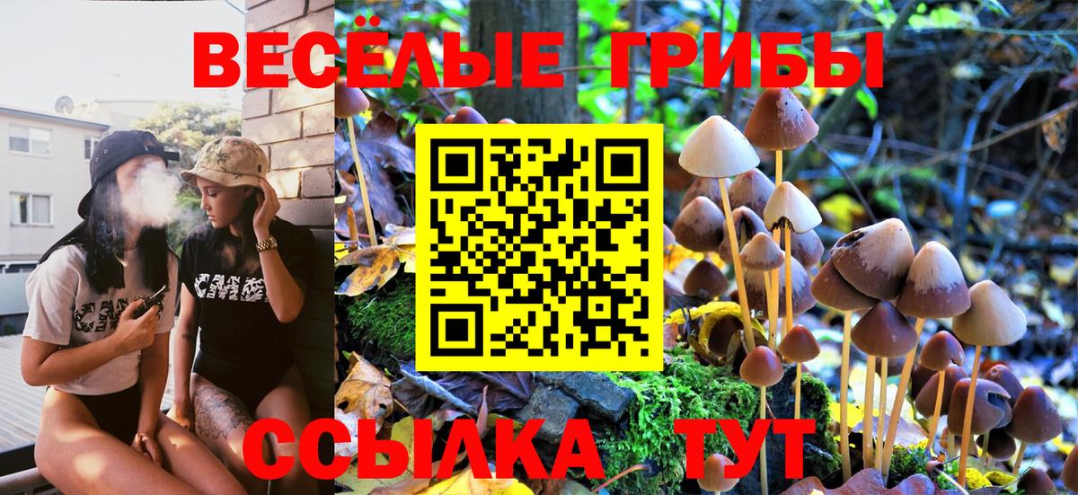 Псилоцибиновые грибы Psilocybe Лениногорск