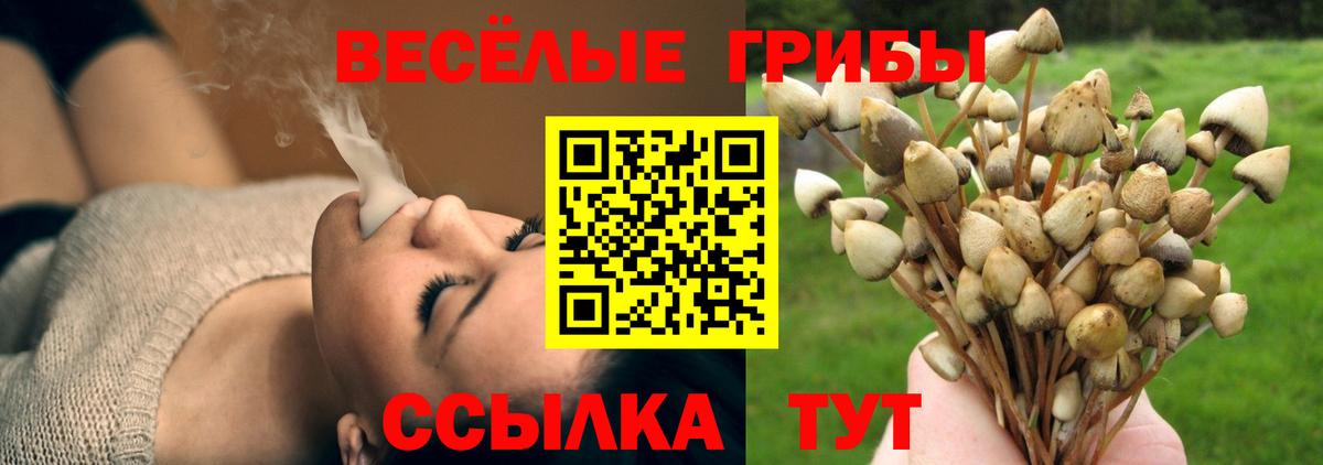 цены наркотик  Псилоцибиновые грибы мицелий  Вход с VPN  Лениногорск 